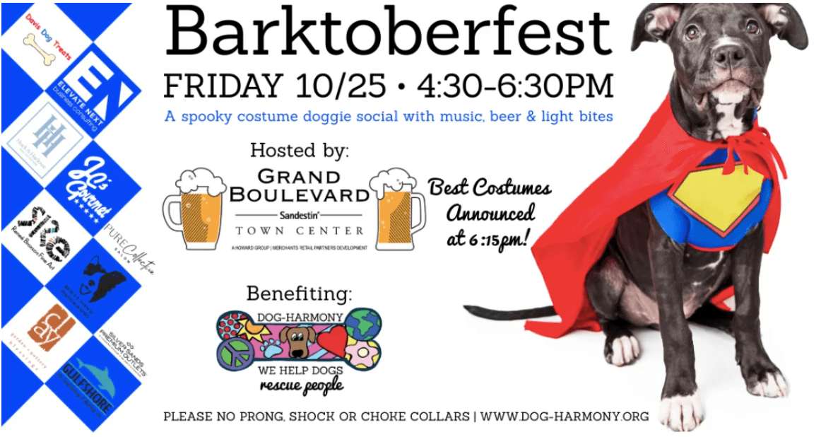 9th Annual Barktoberfest